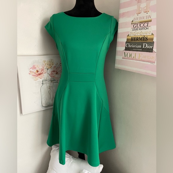 The Limited Dress - Picture 1 of 2